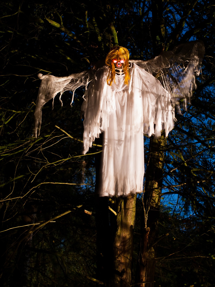 Halloween Anholter schweiz 2012 - 9 Foto & Bild  kunstfotografie 