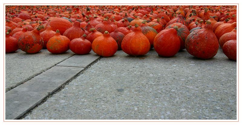 Halloween Army