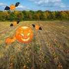 Halloween auf Klackys Kürbisfeld -