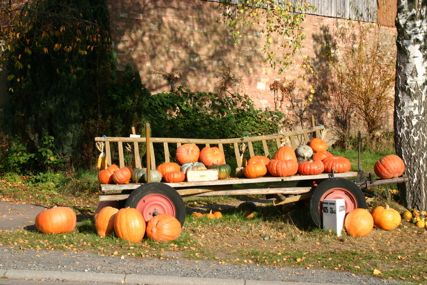 Halloween auf rädern