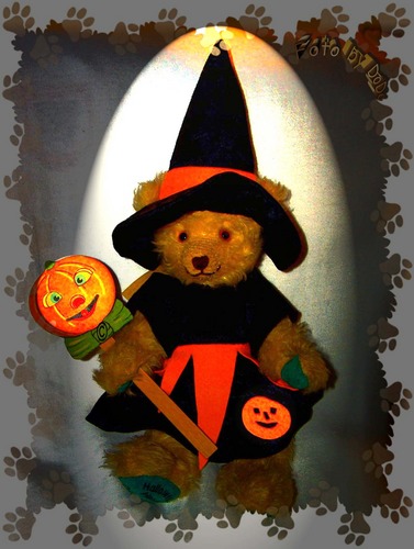 "Halloween-Bears"...DER KÜRBIS leuchtet ..hihi !!!