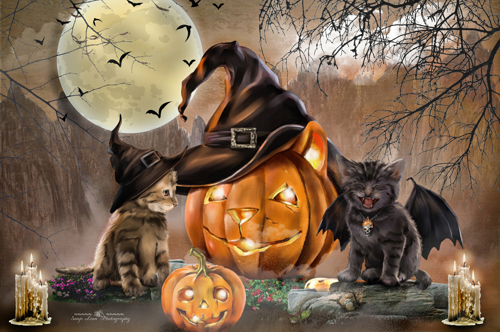 halloween cats****** Foto & Bild  fotomontage, fantasy mystery 