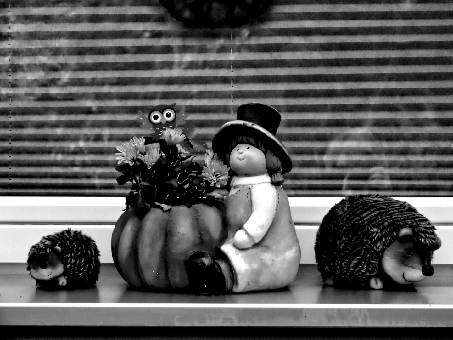 Halloween Dekoration am Fenster in SW