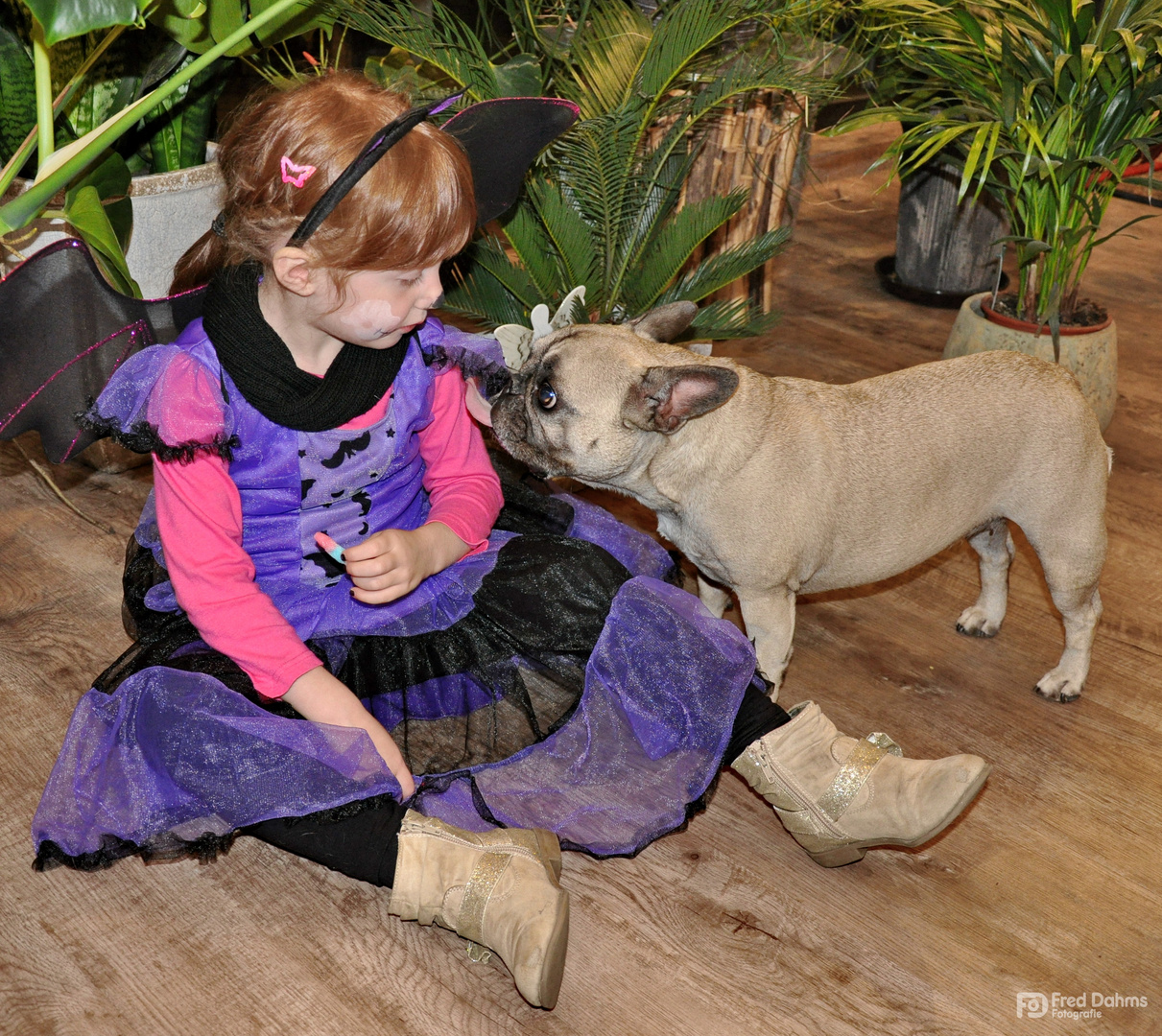 Halloween, Fledermaus Lea