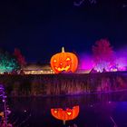 Halloween im HeidePark