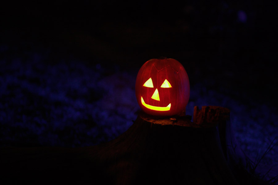 Halloween im Zoo Köln - Kürbis