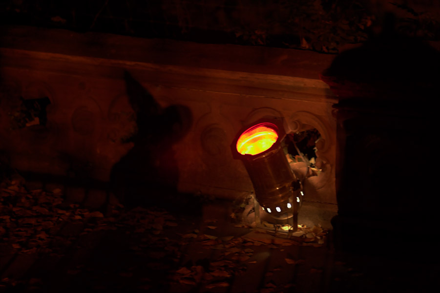 Halloween im Zoo Köln - Schatten einer Hexe