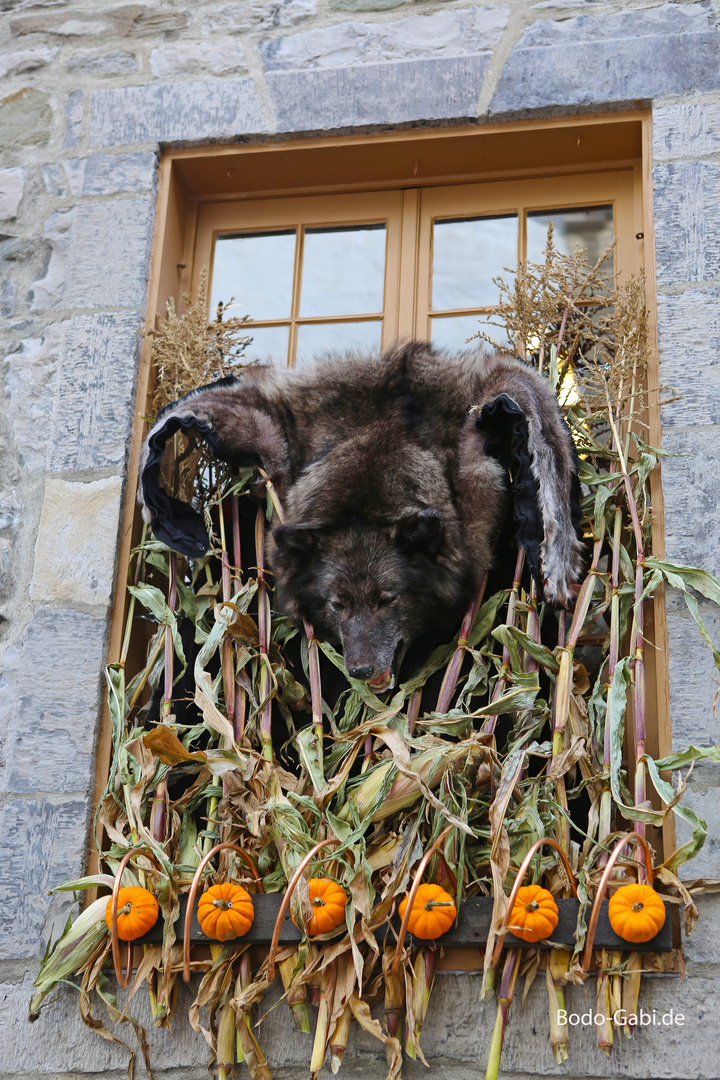 Halloween in Quebec