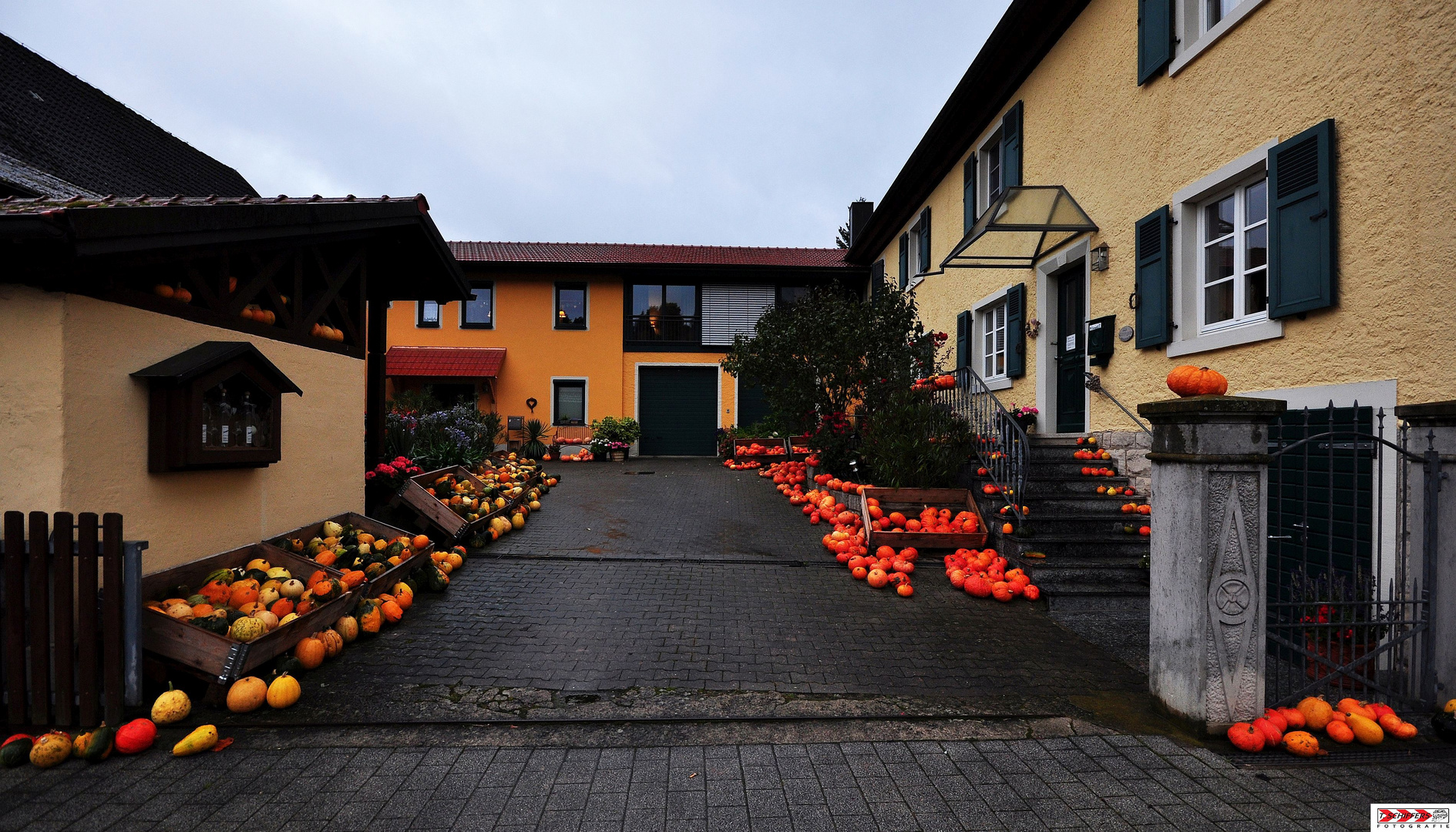 Halloween & Kürbisse