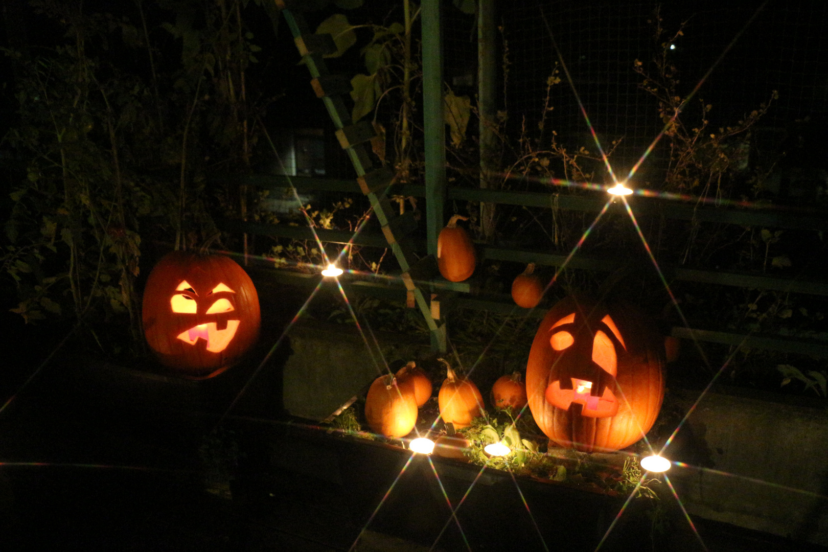 Halloween Kürbisse schnitzen