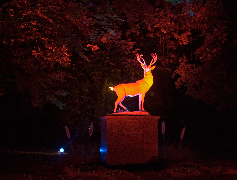 Halloween Nacht im Kölner Zoo 3