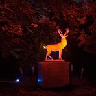 Halloween Nacht im Kölner Zoo 3