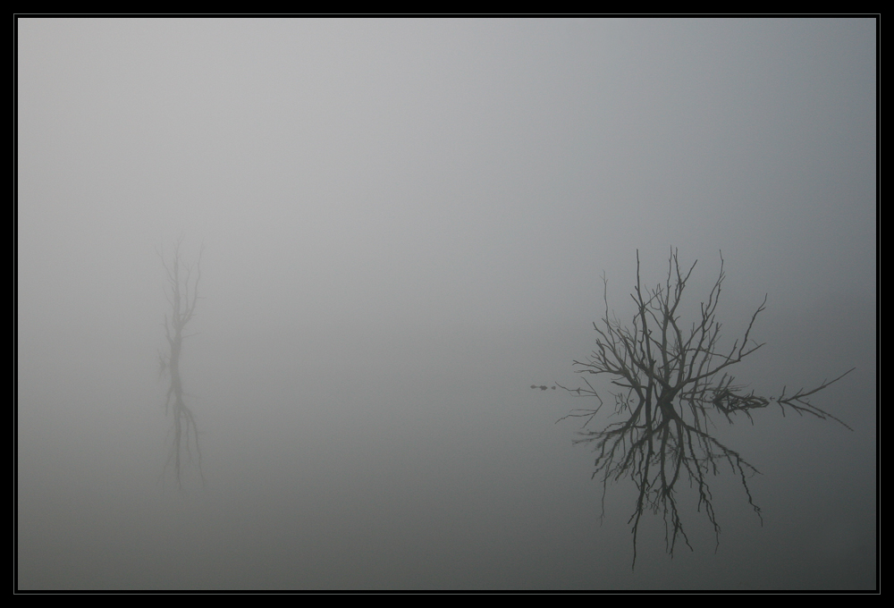 Halloween-Nebel