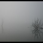 Halloween-Nebel