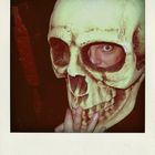 #Halloween #Preppers [Poladroid]