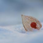 Halloween Queen im Schnee