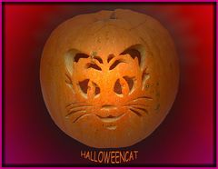 HALLOWEENCAT