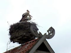 hallo...wir sind wieder da !