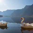 Hallstatt am Morgen 6