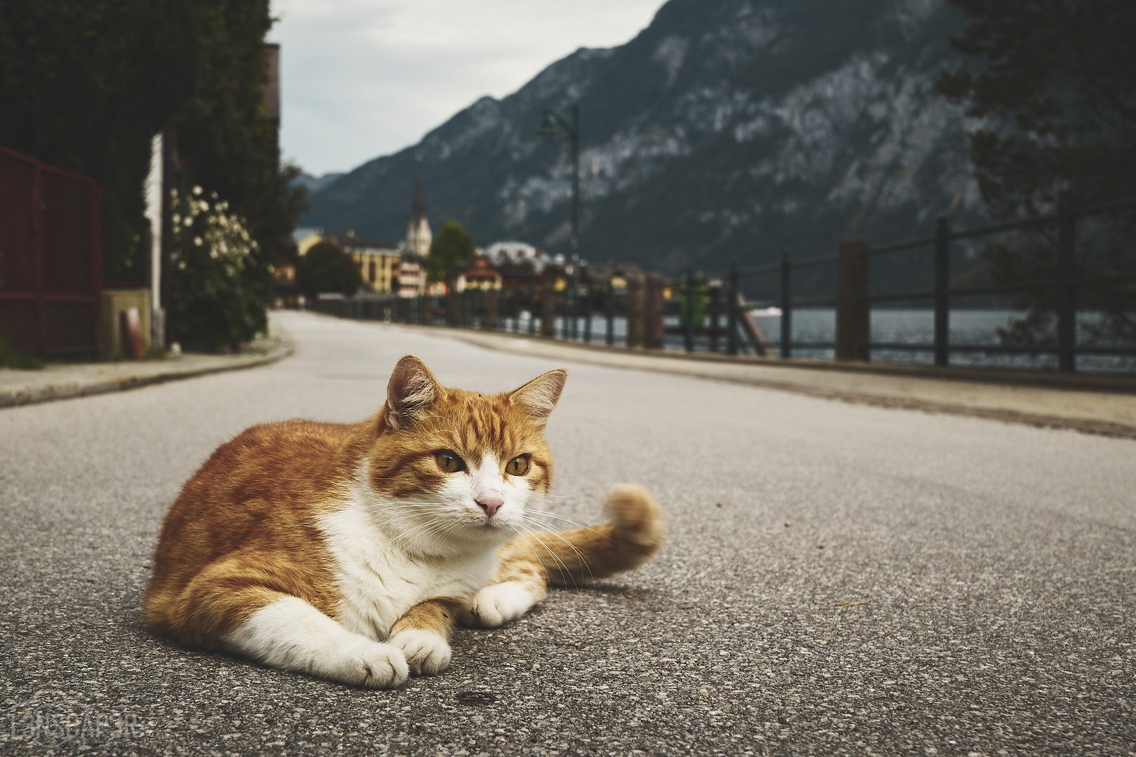 Hallstatt mal anders