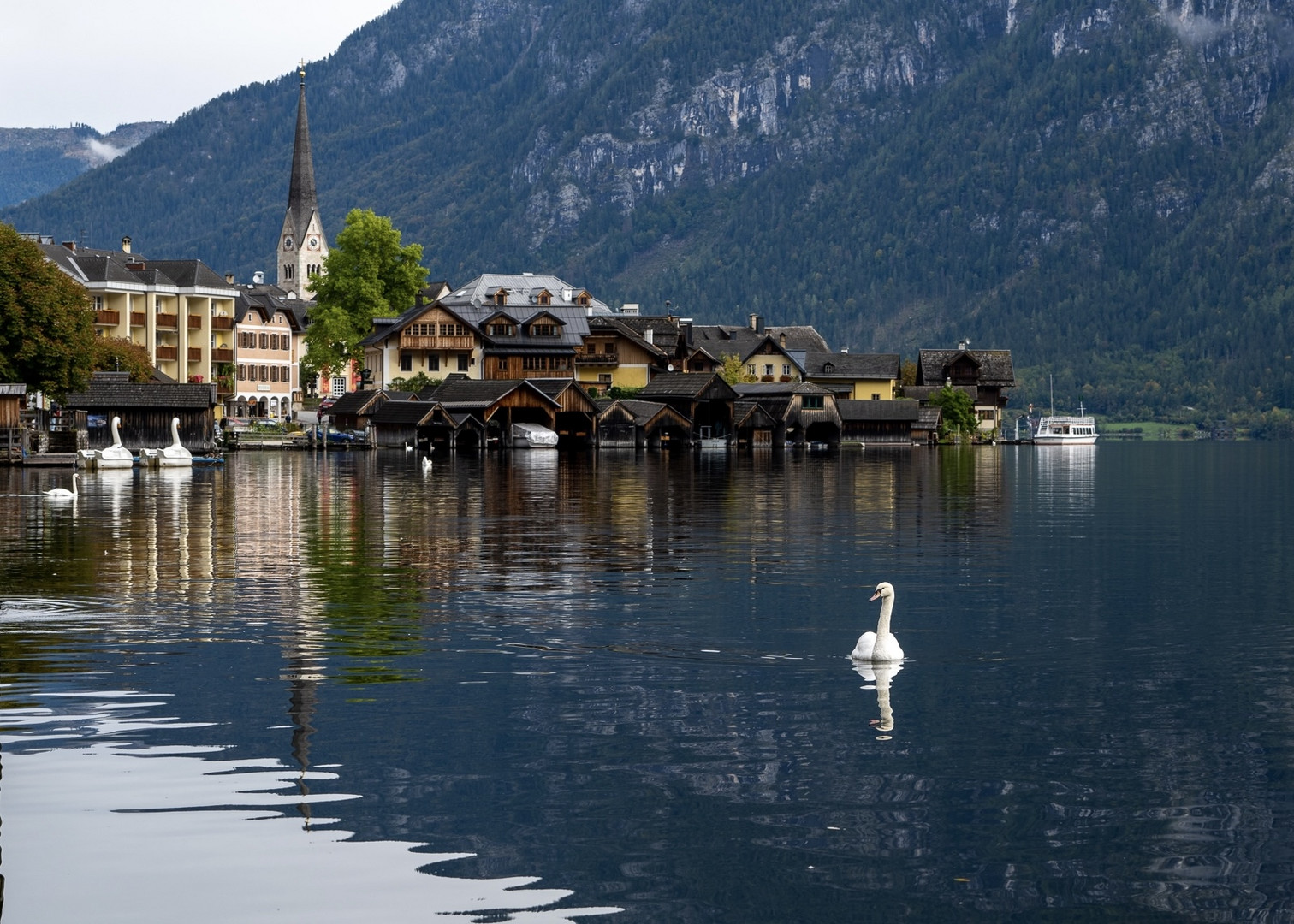 Hallstatt & Schwan