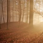 Hallstattzeitlicher Grabhügel im Herbstwald