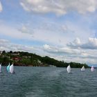 Hallwiler See mit Wind