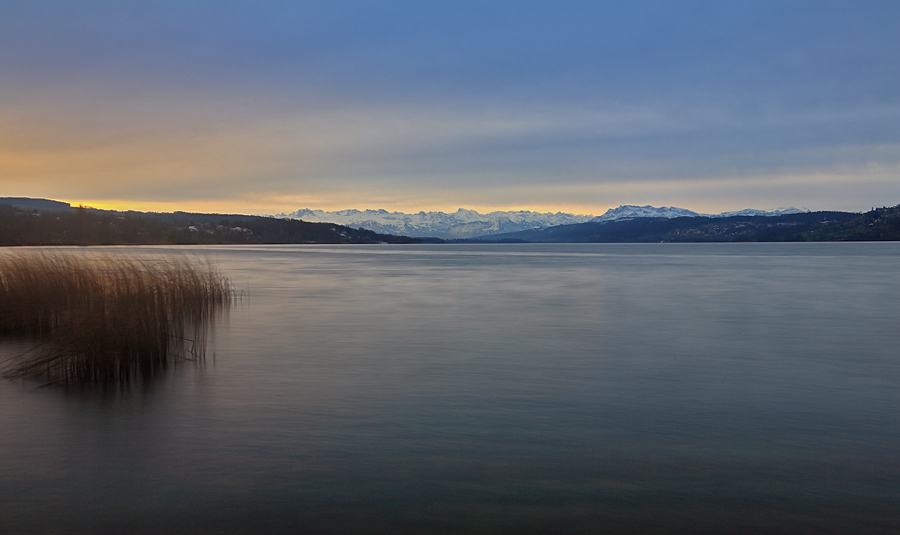 Hallwilersee