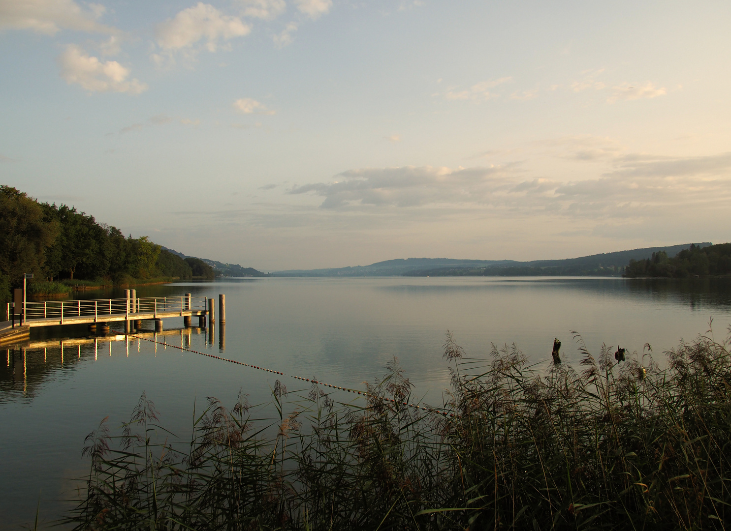 Hallwilersee