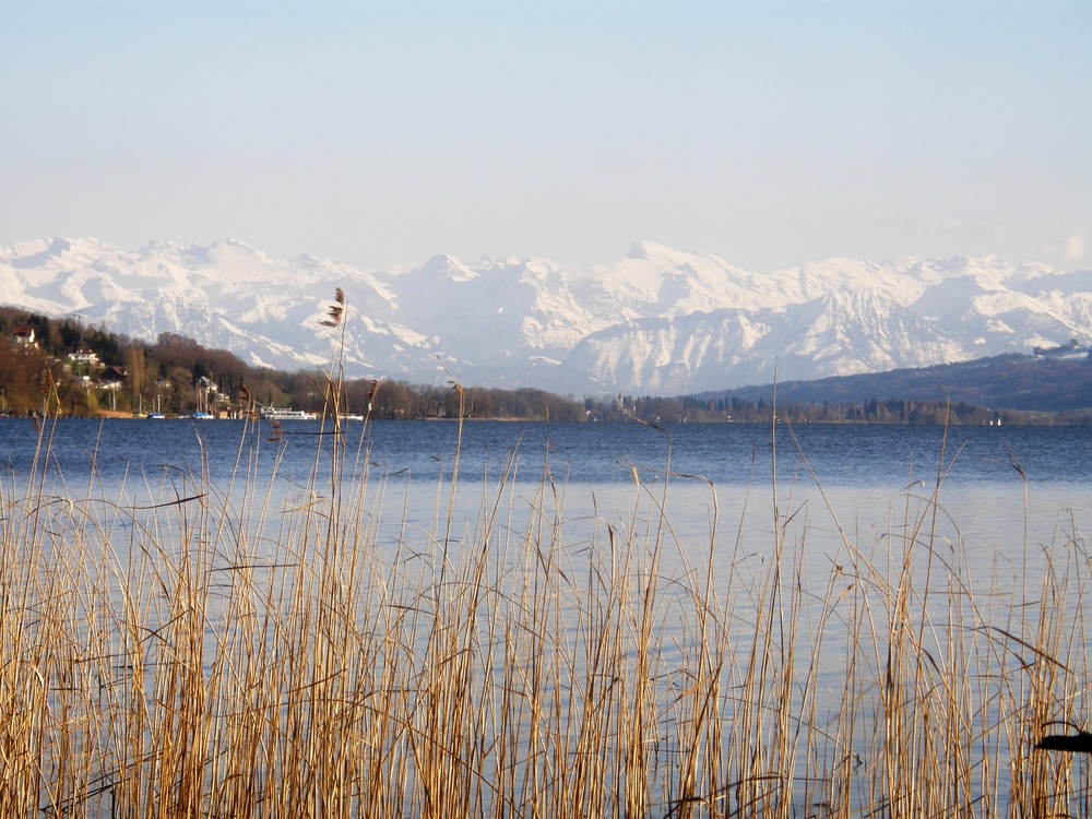 Hallwilersee