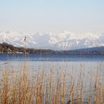 Hallwilersee