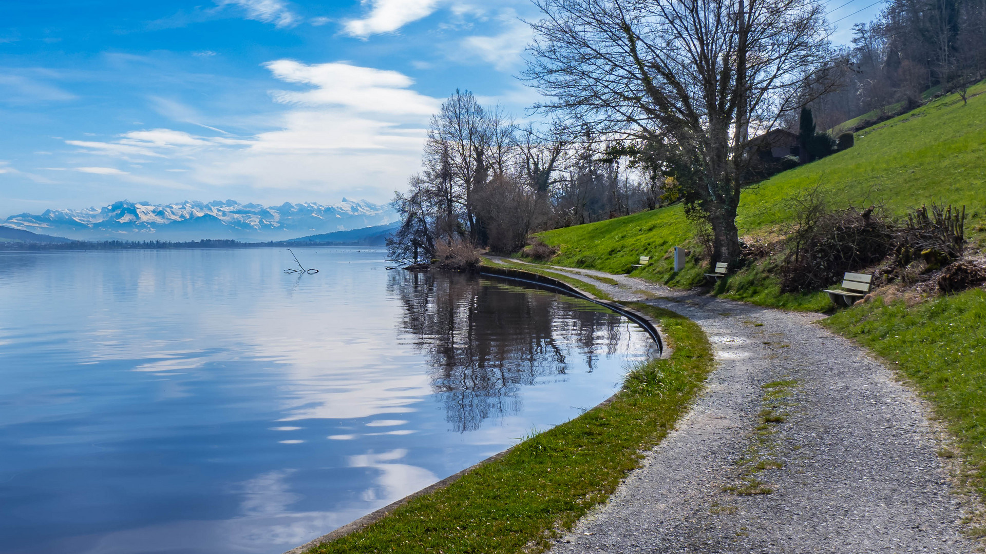 Hallwilersee