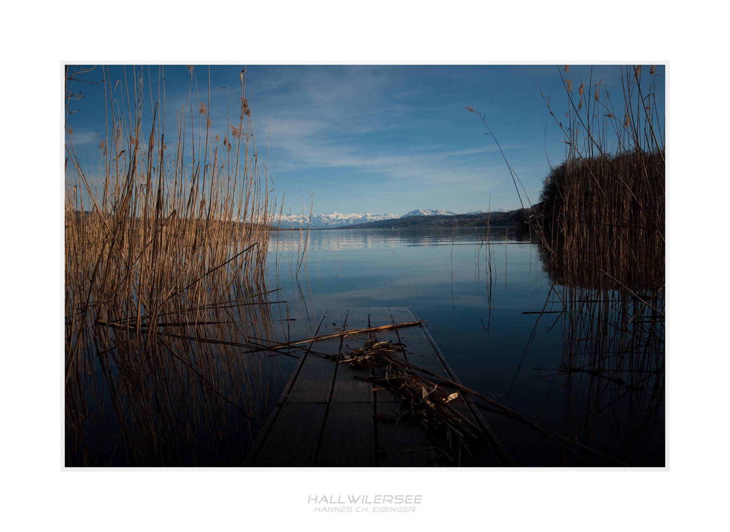 Hallwilersee