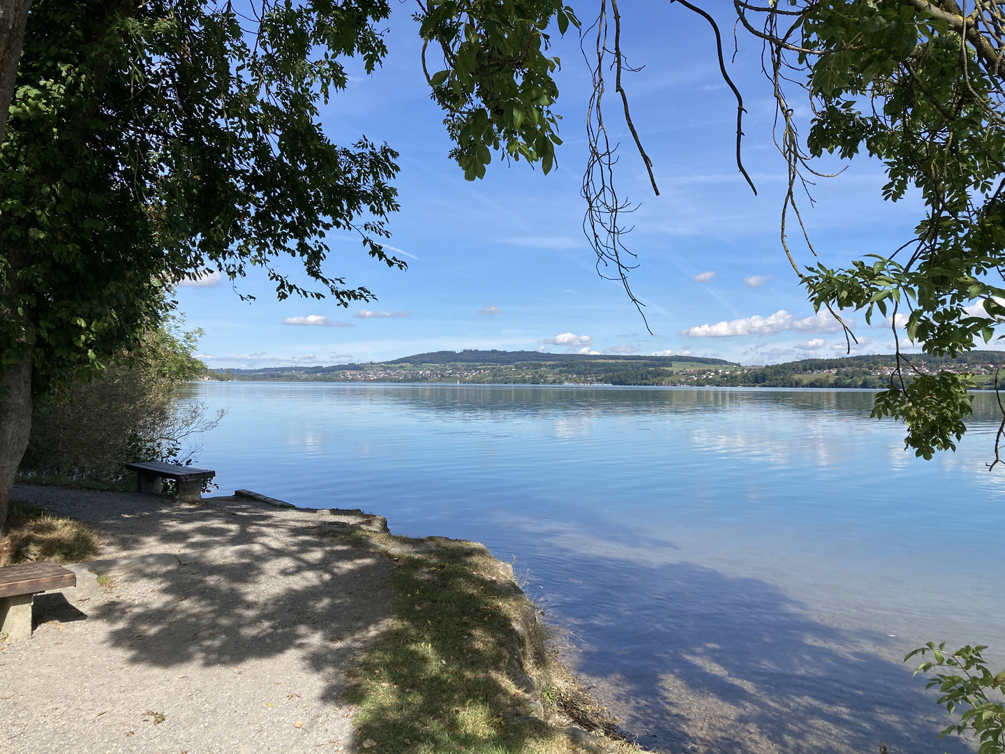 Hallwilersee