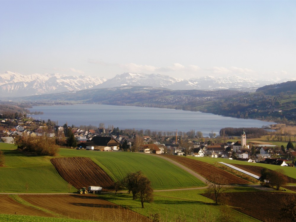 Hallwilersee - Blick vom Eichberg