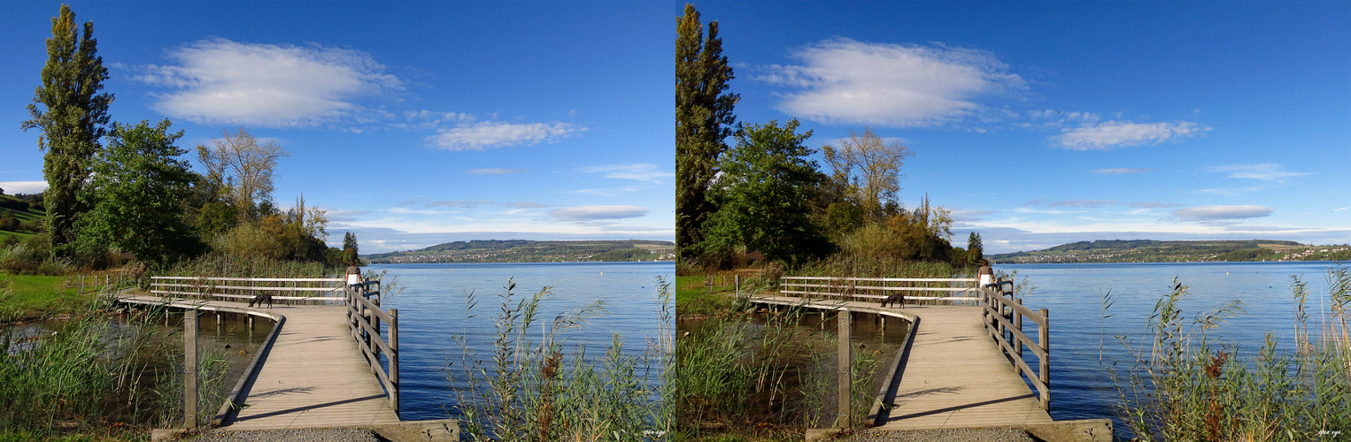 Hallwilersee Kt.AG Schweiz - 3D Kreuzblick