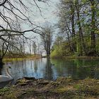 Hallwyl beim Schloss Wasser Schwan 