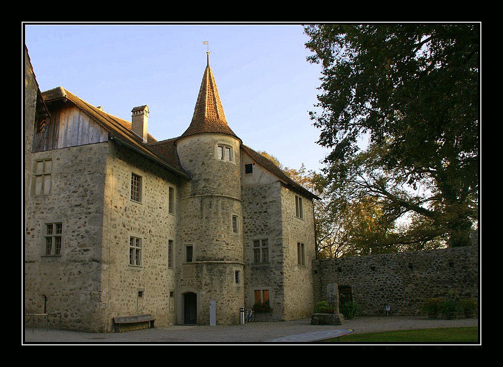 hallwyler schloss II