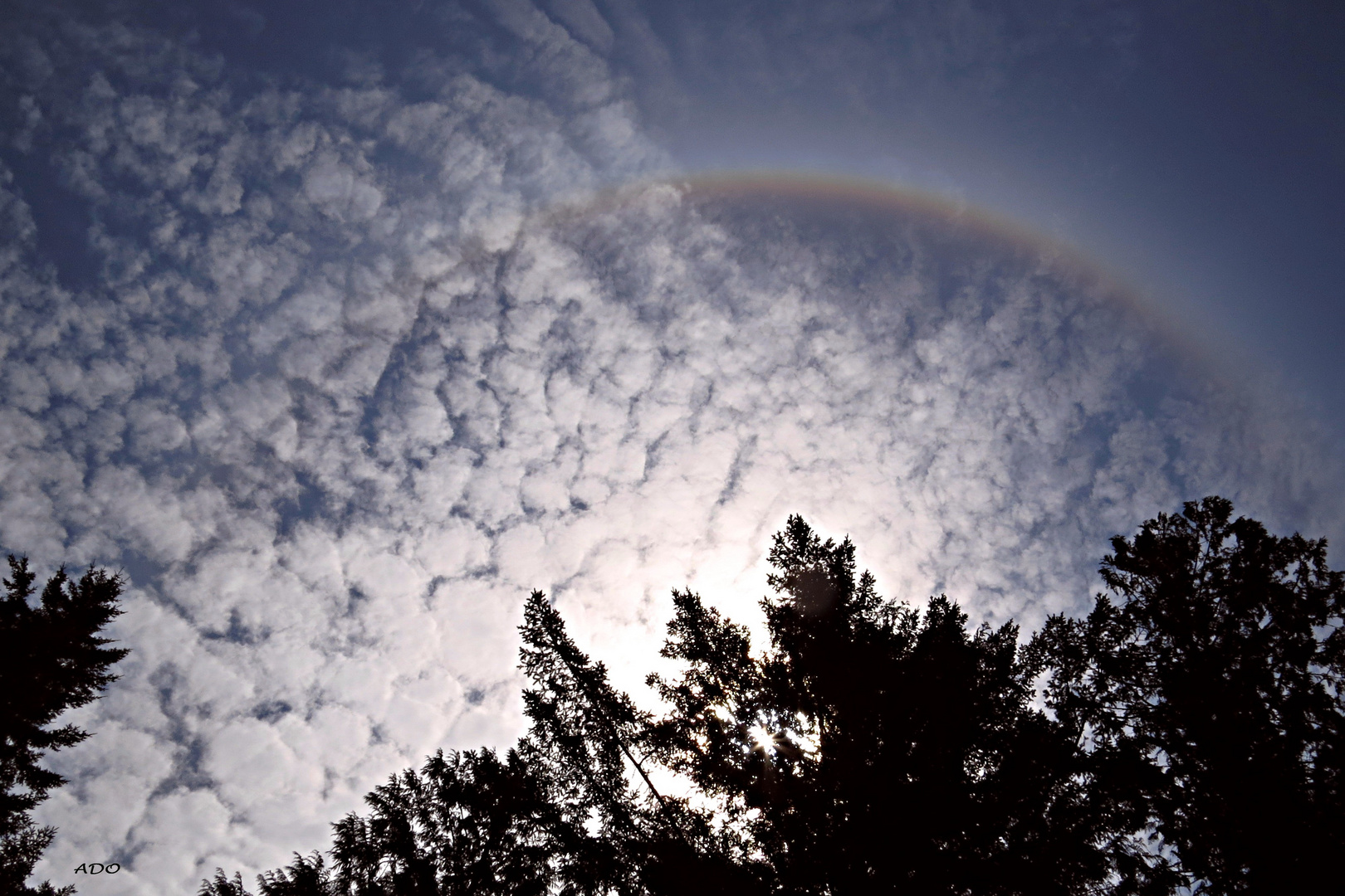 Halo Around The Sun