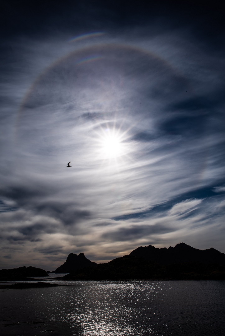 Halo over the Fjord