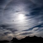 Halo over the Fjord