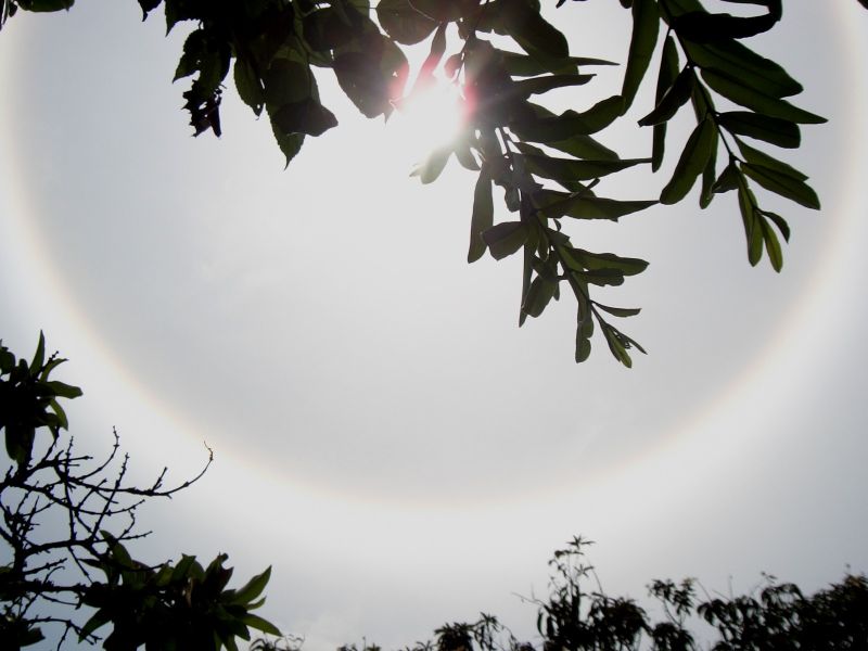 "Halo" - Regenbogenlicht um die Sonne