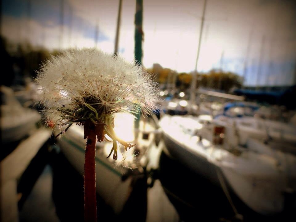 Halo sur les bateaux