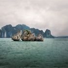 Halong 3