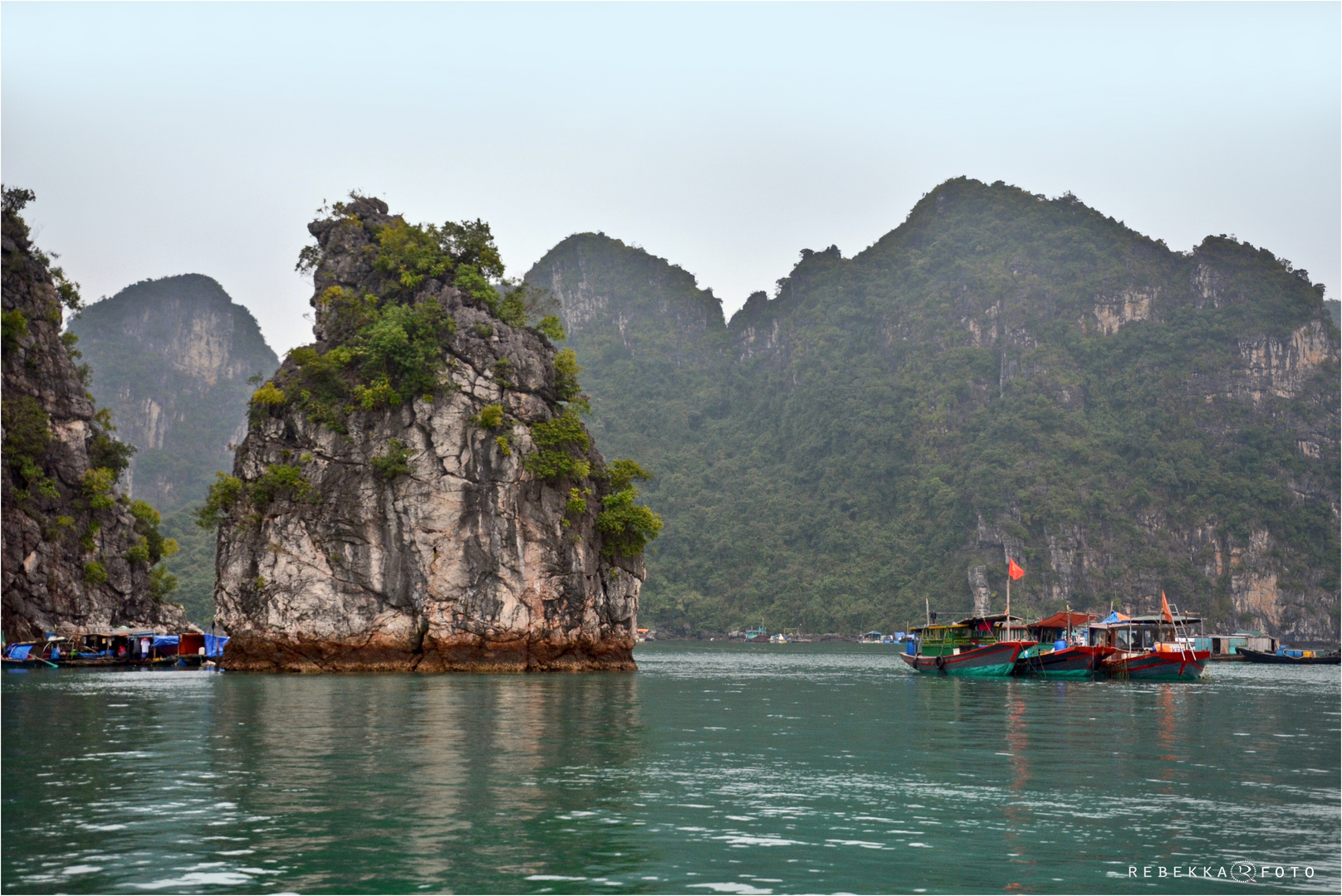 Halong 6