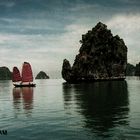 [halong bay]