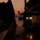 Halong Bay 6