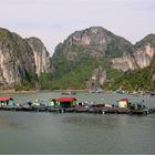 Halong Bay I