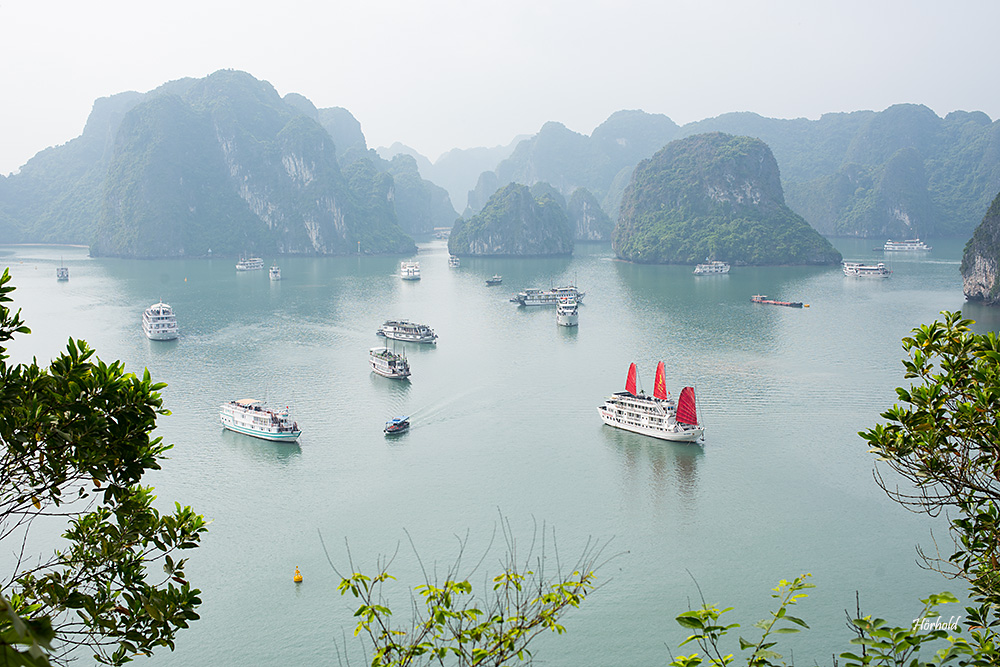 Halong Bay II