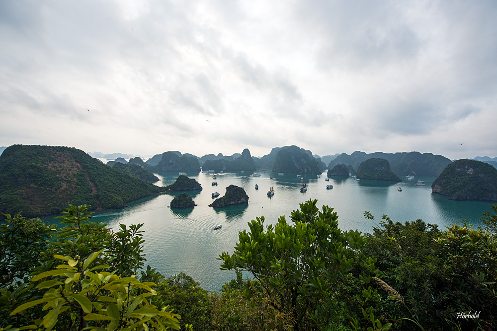 Halong Bay III